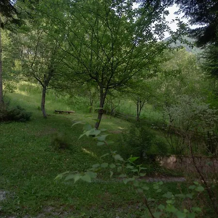Villa Kuca Goranga *